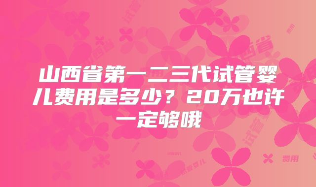 山西省第一二三代试管婴儿费用是多少？20万也许一定够哦