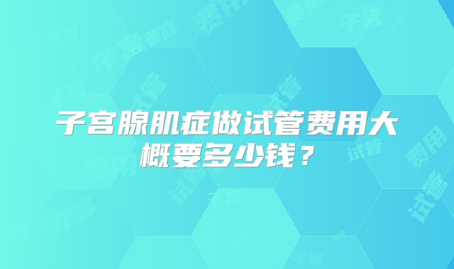 子宫腺肌症做试管费用大概要多少钱？