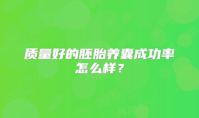 质量好的胚胎养囊成功率怎么样?