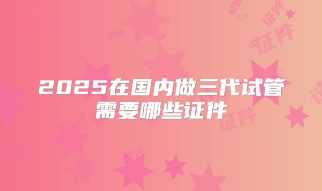 2025在国内做三代试管需要哪些证件