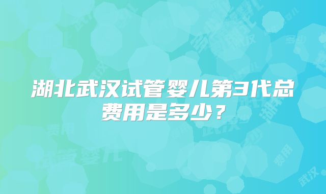 湖北武汉试管婴儿第3代总费用是多少?