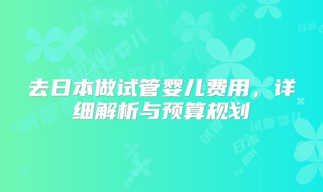 去日本做试管婴儿费用，详细解析与预算规划