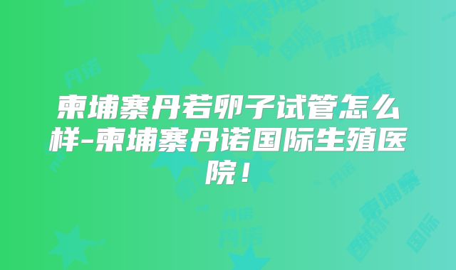 柬埔寨丹若卵子试管怎么样-柬埔寨丹诺国际生殖医院！