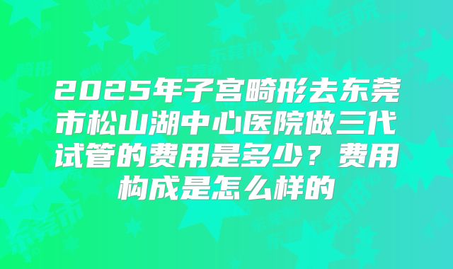 2025年子宫畸形去东莞市松山湖中心医院做三代试管的费用是多少?费用构成是怎么样的