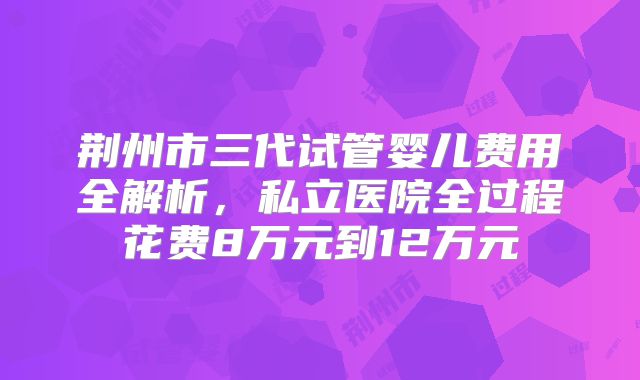 荆州市三代试管婴儿费用全解析，私立医院全过程花费8万元到12万元