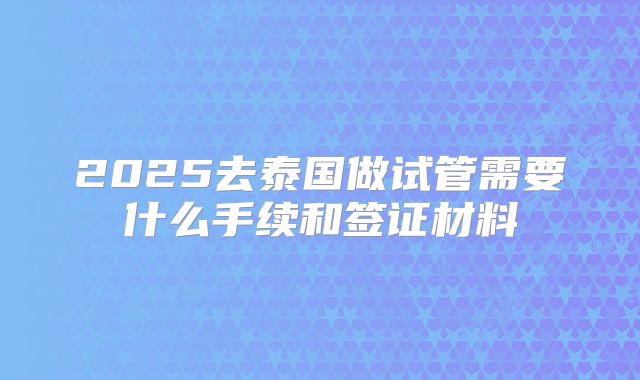 2025去泰国做试管需要什么手续和签证材料