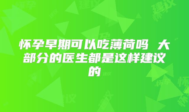 怀孕早期可以吃薄荷吗 大部分的医生都是这样建议的
