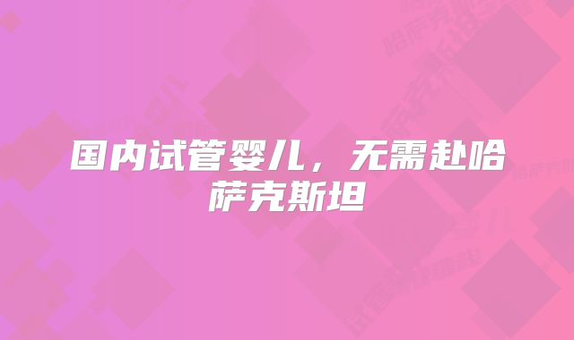 国内试管婴儿，无需赴哈萨克斯坦