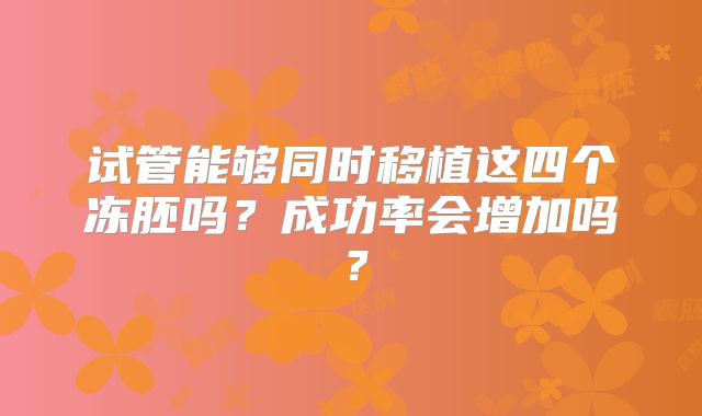 试管能够同时移植这四个冻胚吗？成功率会增加吗？
