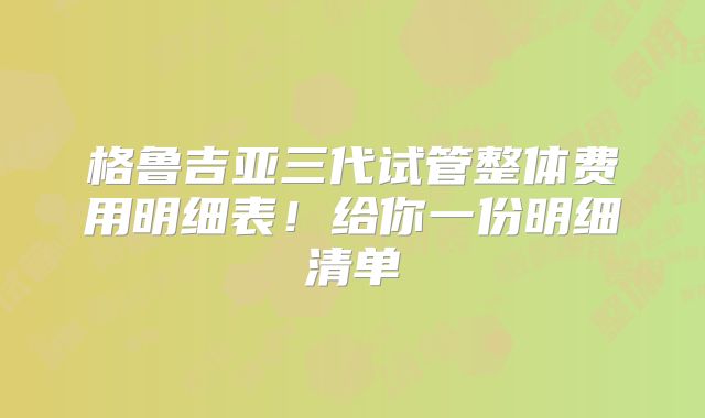格鲁吉亚三代试管整体费用明细表!给你一份明细清单