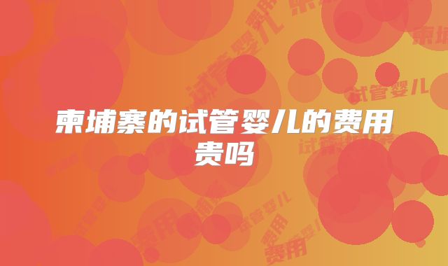 柬埔寨的试管婴儿的费用贵吗
