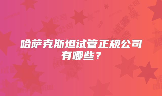 哈萨克斯坦试管正规公司有哪些？