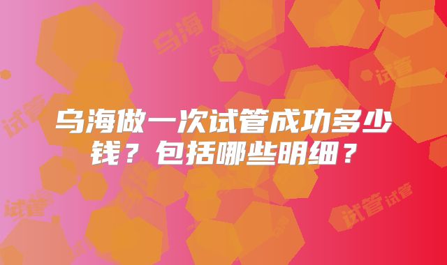 乌海做一次试管成功多少钱？包括哪些明细？