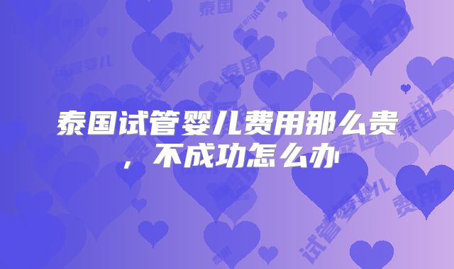 泰国试管婴儿费用那么贵，不成功怎么办