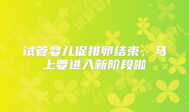 试管婴儿促排卵结束，马上要进入新阶段啦