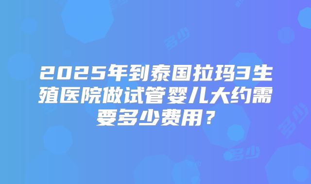 2025年到泰国拉玛3生殖医院做试管婴儿大约需要多少费用?