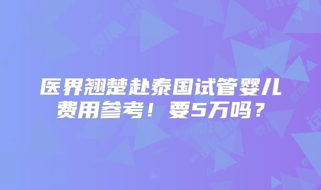 医界翘楚赴泰国试管婴儿费用参考!要5万吗?
