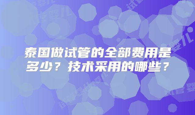 泰国做试管的全部费用是多少?技术采用的哪些?