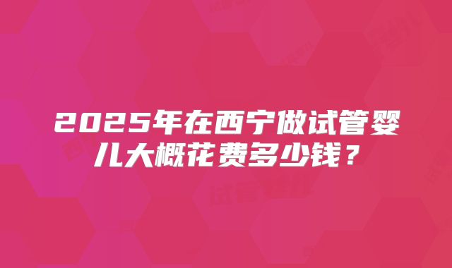 2025年在西宁做试管婴儿大概花费多少钱？