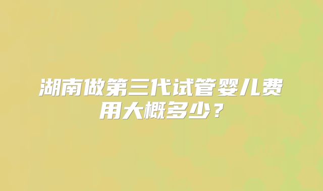 湖南做第三代试管婴儿费用大概多少？