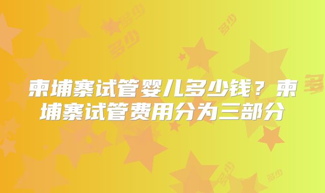 柬埔寨试管婴儿多少钱？柬埔寨试管费用分为三部分