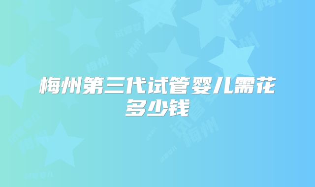 梅州第三代试管婴儿需花多少钱