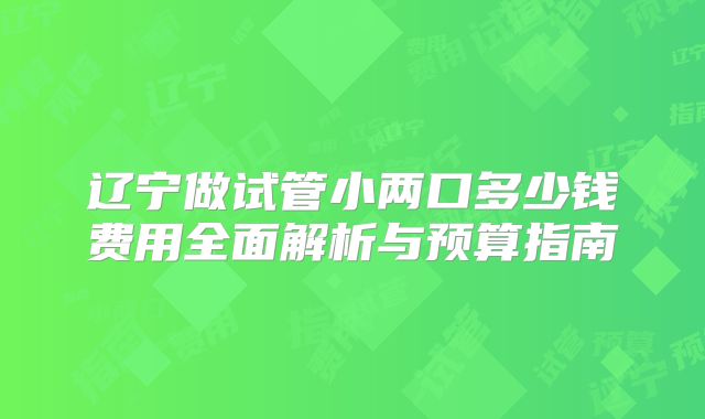 辽宁做试管小两口多少钱费用全面解析与预算指南