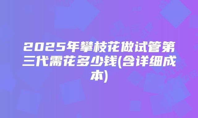 2025年攀枝花做试管第三代需花多少钱(含详细成本)