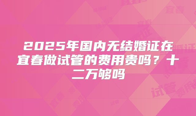 2025年国内无结婚证在宜春做试管的费用贵吗?十二万够吗