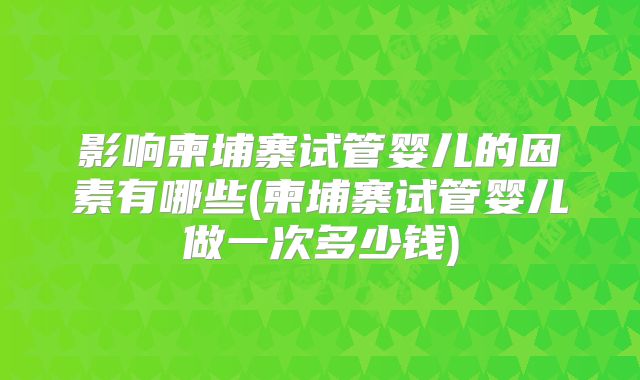 影响柬埔寨试管婴儿的因素有哪些(柬埔寨试管婴儿做一次多少钱)