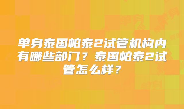 单身泰国帕泰2试管机构内有哪些部门？泰国帕泰2试管怎么样？