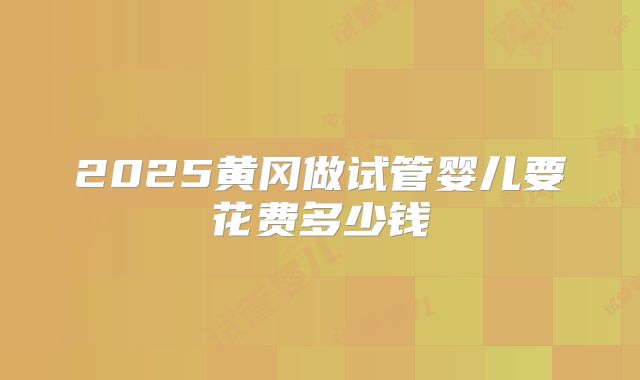 2025黄冈做试管婴儿要花费多少钱