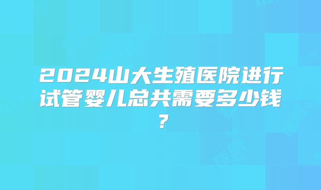 2024山大生殖医院进行试管婴儿总共需要多少钱？