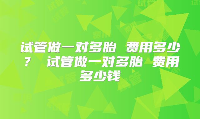 试管做一对多胎 费用多少？ 试管做一对多胎 费用多少钱