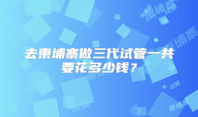 去柬埔寨做三代试管一共要花多少钱？