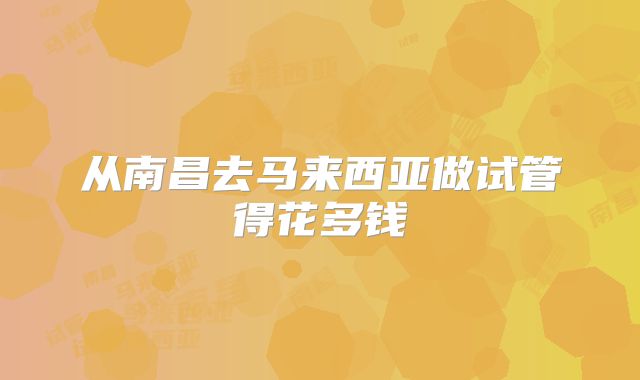 从南昌去马来西亚做试管得花多钱