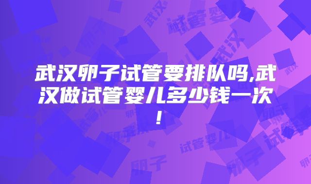 武汉卵子试管要排队吗,武汉做试管婴儿多少钱一次!