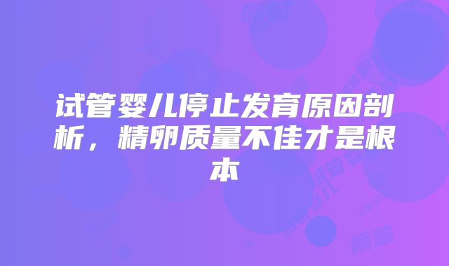 试管婴儿停止发育原因剖析，精卵质量不佳才是根本