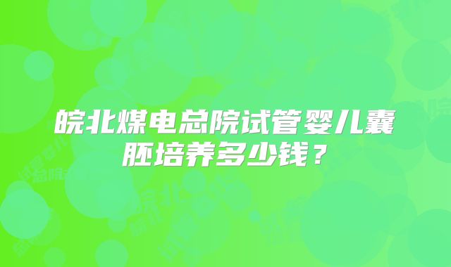 皖北煤电总院试管婴儿囊胚培养多少钱?