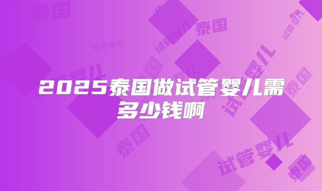 2025泰国做试管婴儿需多少钱啊