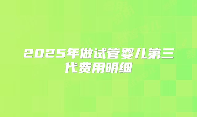 2025年做试管婴儿第三代费用明细