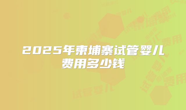 2025年柬埔寨试管婴儿费用多少钱