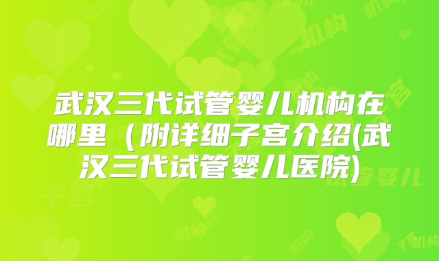 武汉三代试管婴儿机构在哪里（附详细子宫介绍(武汉三代试管婴儿医院)