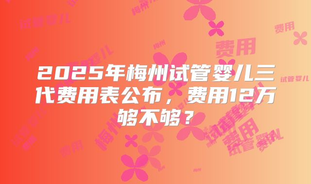 2025年梅州试管婴儿三代费用表公布,费用12万够不够?