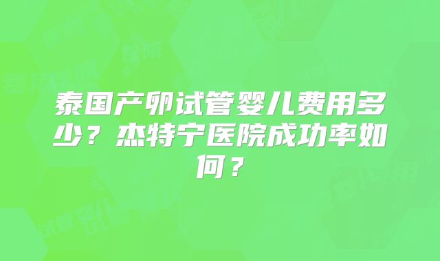 泰国产卵试管婴儿费用多少？杰特宁医院成功率如何？