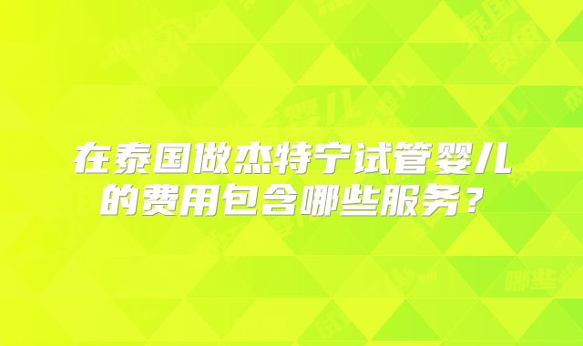 在泰国做杰特宁试管婴儿的费用包含哪些服务？