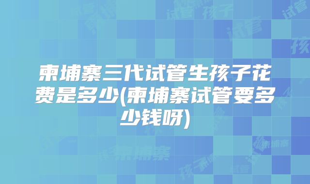 柬埔寨三代试管生孩子花费是多少(柬埔寨试管要多少钱呀)