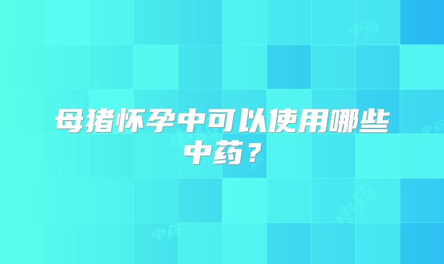 母猪怀孕中可以使用哪些中药？