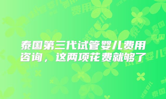 泰国第三代试管婴儿费用咨询，这两项花费就够了
