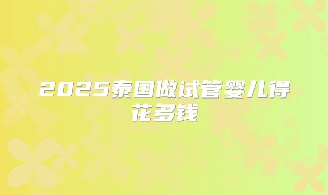 2025泰国做试管婴儿得花多钱